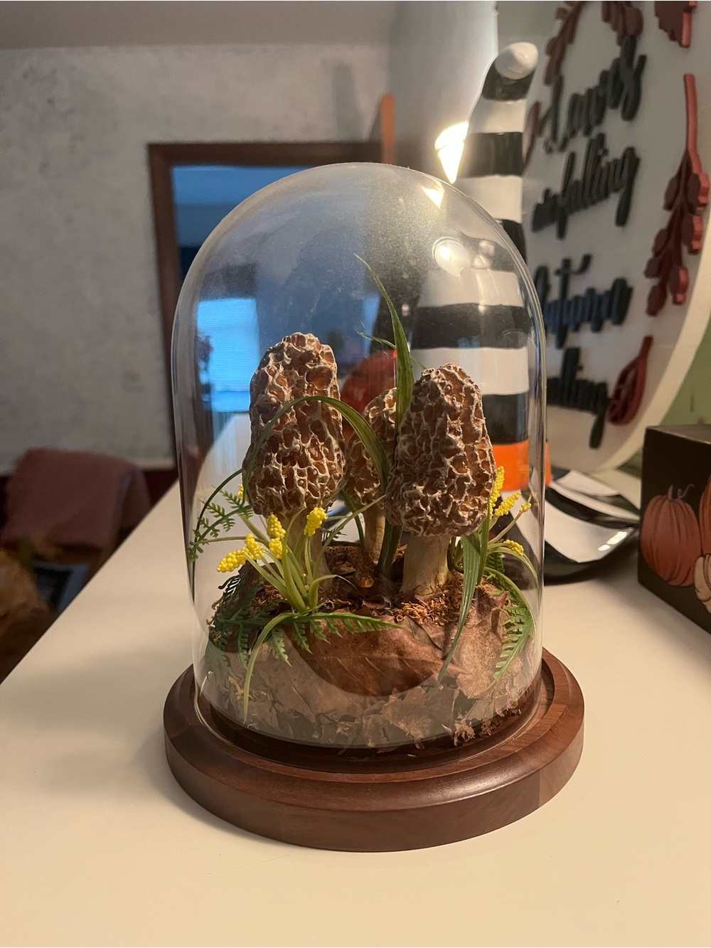 Vintage Morel Mushroom Moss Terrarium Cloche Glass Dome Jar Art Decoration Decor